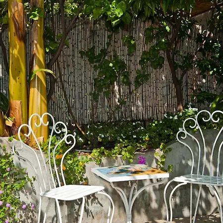 Bed and breakfast Rosa
