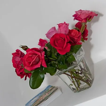 Bed & Breakfast Rosa Positano