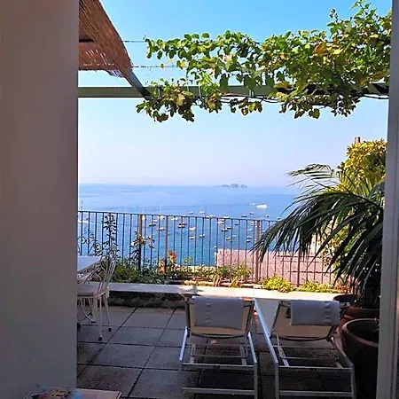 Rosa 4*