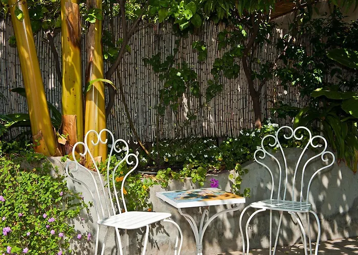 Bed & Breakfast Rosa