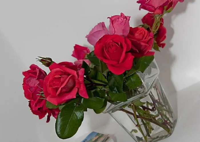 Bed & Breakfast Rosa Positano